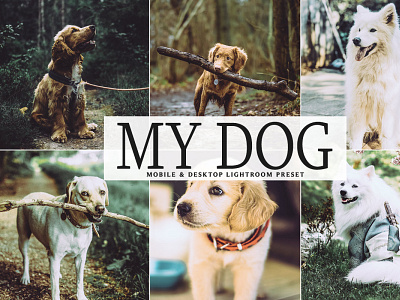 Free My Dog Mobile & Desktop Lightroom Preset