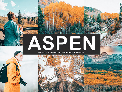 Free Aspen Mobile & Desktop Lightroom Preset