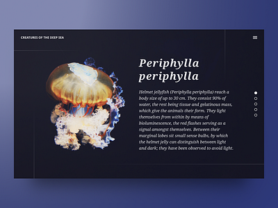 Creatures of the Deep Sea concept deep sea design hero jellyfish layout minimal typography underwater unsplash web design website