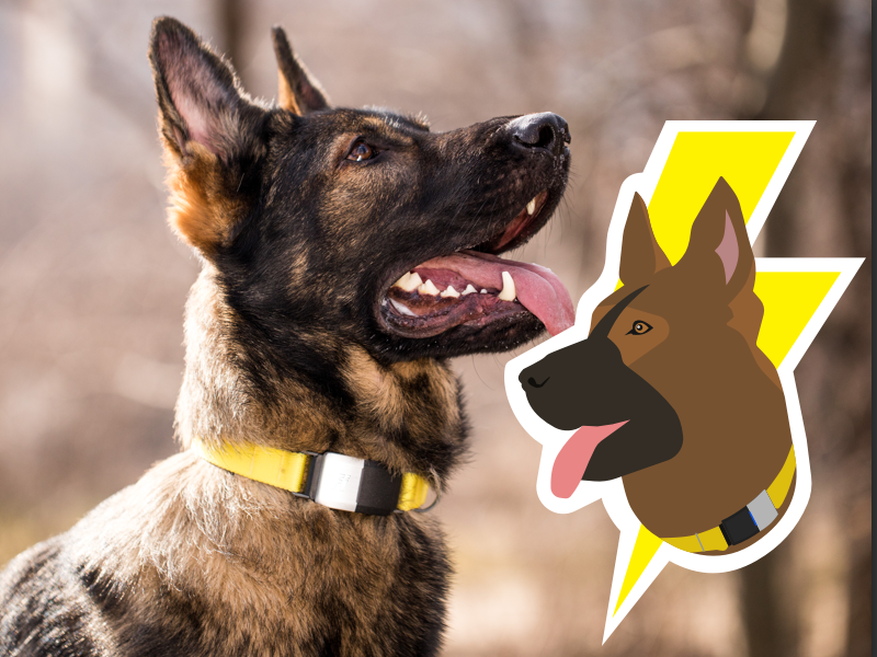 Thor illustration graphic sticker dogs dog fi illustration