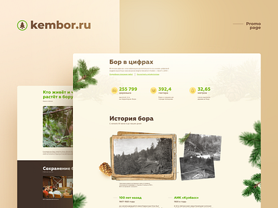 Kembor design desktop forest promo ui web website