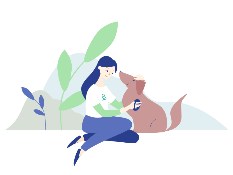 Volunteer animation character dog flat graphic illustration design minimal motiondesign pet ui vector volunteer web