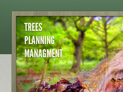 Trees, Planning, Management