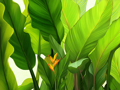 Green Vibes Illustration blossom design design studio digital art digital illustration digital painting exotic flower flower illustration graphic design green greenery illustration illustration art illustrator leaves nature plants procreate thailand