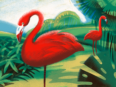 Flamingo Balance Illustration animals balance birds design design studio digital art digital artwork digital illustration digital painting environment flamingo graphic design illustration illustration art illustrations illustrator landscape nature procreate wildlife