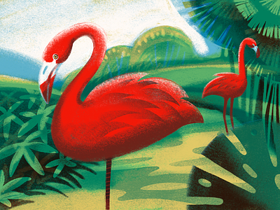 Flamingo Balance Illustration