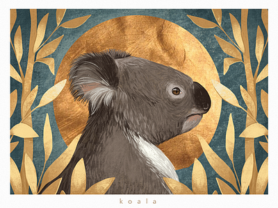 Koala Portrait Illustration