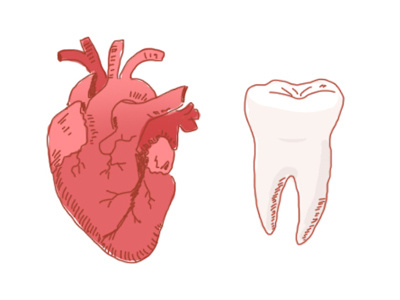 Bodyparts body bodyparts heart illustration tooth