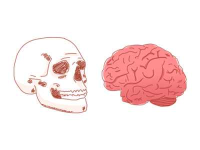 Bodyparts 2 body bodyparts brain human illustration skull