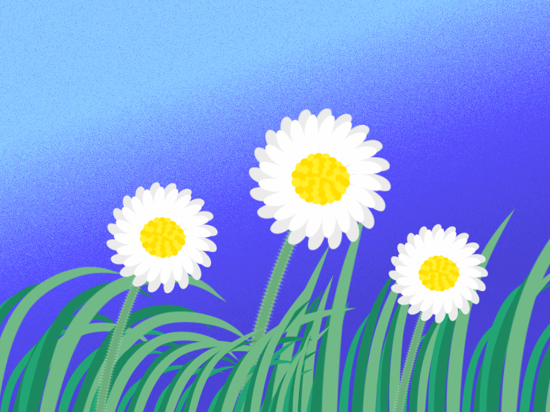 Daisies 2d animation daisy grass motion spring wind