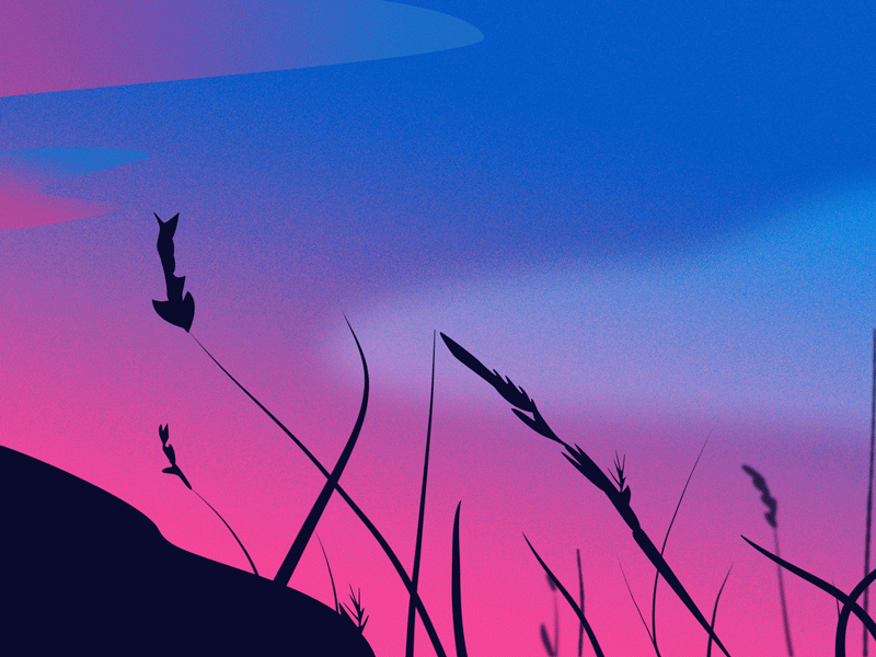 Sunset countryside [animated rebound]