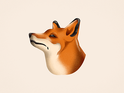 Majestic Fox | A study of noise as texture and vectors animals fox graphic style head light noise shadow texture warm