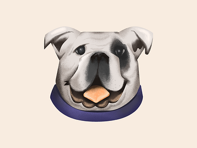 Bulldog | A study of Noise as Texture bulldog dog illustration noise texture vector