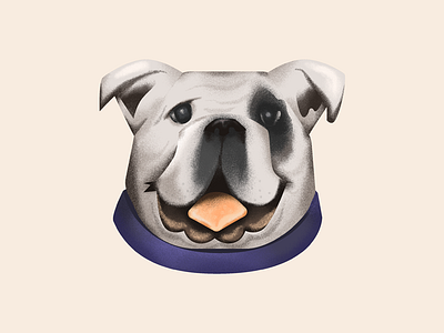 Bulldog | A study of Noise as Texture