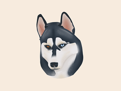 The Loyal Huskey | A Study of Grainy Noise as Texture animal brush dog head huskey noise pixel vector