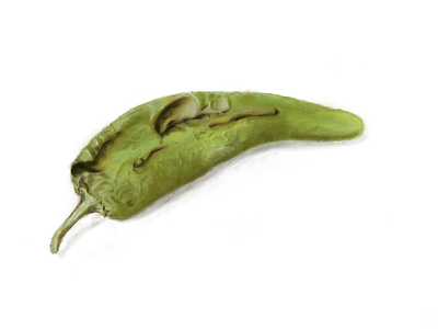 Roasted Green Chile design illustration logo