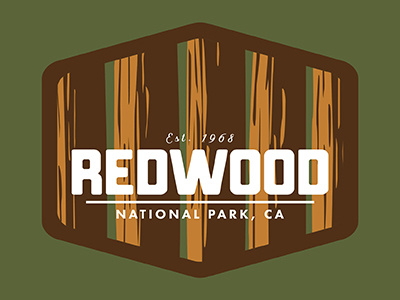 Redwood National Park by Phill Monson on Dribbble