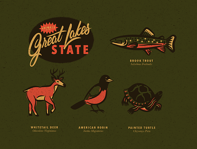 Michigan Animals animals brook deer great lakes lettering michigan painted robin script trout turtle vintage whitetail