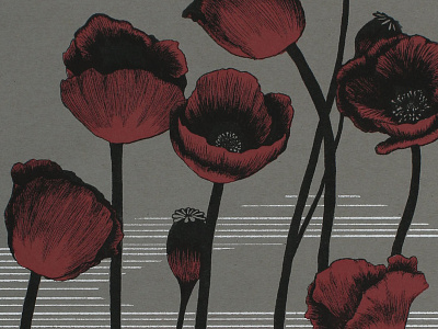 Papaver Somniferum dog dream sleep. flowers hound illustration magic papaver somniferum poppy ritual witchcraft