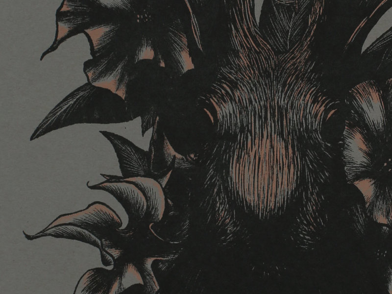 Datura stramonium occult entheogen hallucinogen poison dark flying ointment flight witchcraft ritual magic