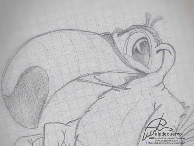 Tucan Sketch ave bird cartooning character design happy humorous mascot pet smile tucan