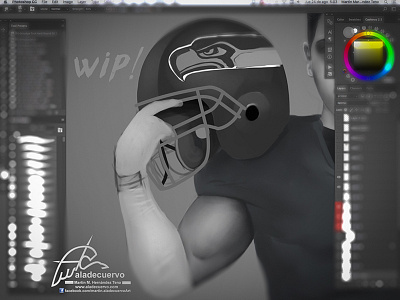 Seahawks Fanart Wip