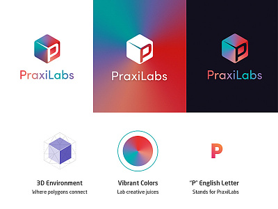 Praxilabs Logo 3d box branding creative flat gradient logo p symbol