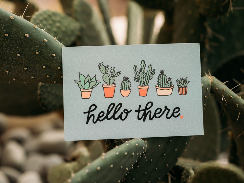 Hello There Postcard hand drawn plants product photography illustration cactus succulent hello there hand lettered hand lettering postcard