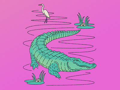 Alligator alligator animal art bird design flat flowers gator illustration line illustration lotus swamp tropical vector