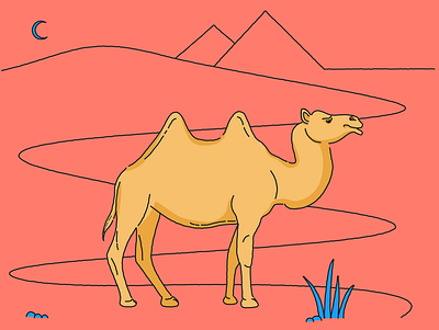 Camel animal art camel desert design illustration line illustration lineart moon pyramids vector