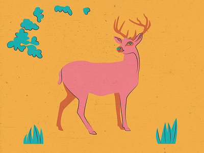 Deer art buck deer design family fawn flat illustration illustrator line illustration spring texture vector