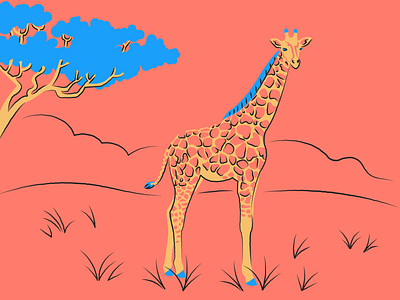 Giraffe