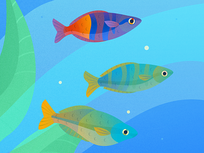 Rainbow Fish aquarium art fish fishtank flat illustration illustrator pisces texture underwater vector water