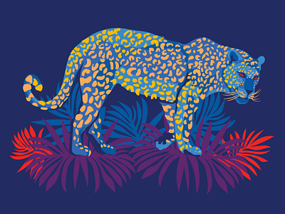 The Stalking Leopard animal art cat color design illustration leopard night tropical