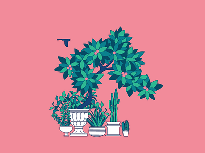 Plants