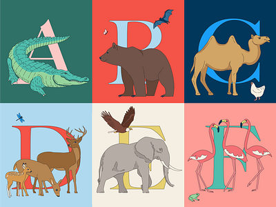 Animal Alphabet alligator alphabet animal animals art bat bear buck butterfly camel chicken deer design dragonfly eagle elephant fawn frog illustration vector