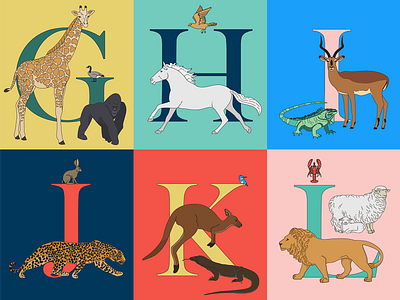 Animal Alphabet