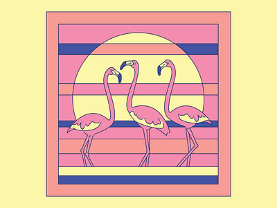 Flamingo Sunset