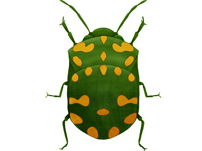 Green Beetle beetle bug digital art illustration insect ipad pro
