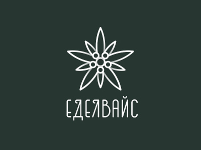 Edelweiss cyrillic edelweiss flower minimal shadows stylization symbol vector