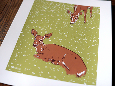 16x20 Deer Art Print artprint deer drawing illustration poster screenprint wildlife