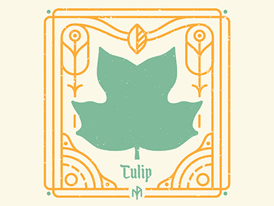 Tulip Tree Leaf Illustration