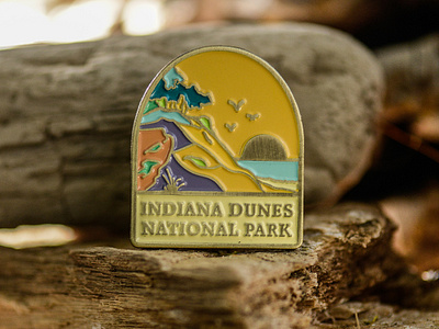 Indiana Dunes National Park Enamel Pin enamel pin graphicdesign illustration pin