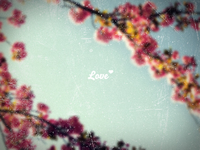 Love ♥ flower heart love photo photography typho typography warm