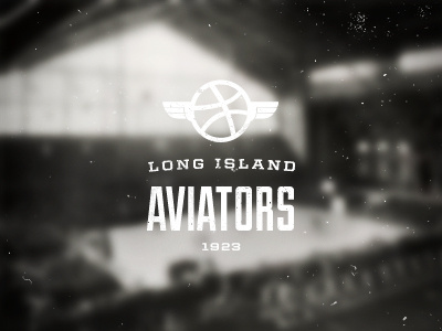 Long Island Aviators