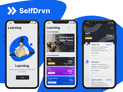 SelfDrvn Learning portfolio process