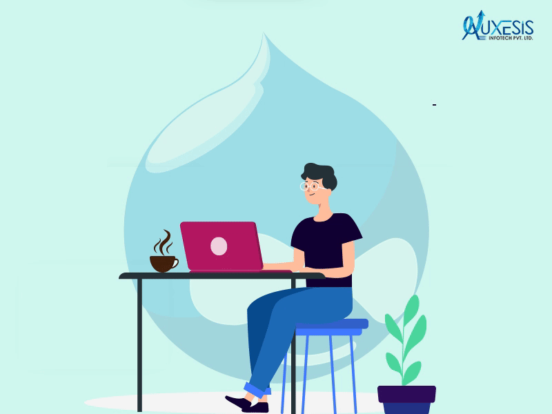 Auxesis Infotech is One of The Top Drupal Developers! auxesis infotech business analyst business consultant businessconsultant drupal drupal development drupal services drupal web development graphic design ui ux web design