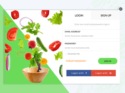 Log In Popup auxesis infotech color scheme graphic design illustration responsive design web design