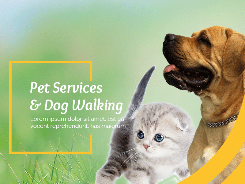 Say hello to pet beginnings with a website! auxesis infotech branding color scheme design gif graphic design motiongraphics pet care pets responsive design typography ui ux web design website website development company