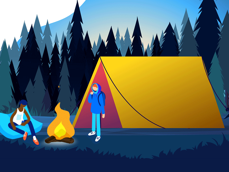 Delight of Camping auxesis infotech camping color scheme design gif graphic design illustration motiongraphics responsive design ui web design
